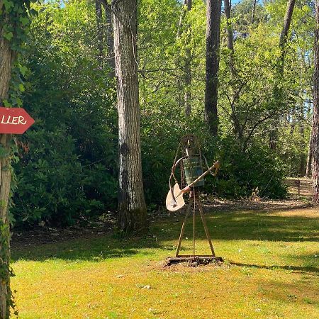 Le Petit Poulailler Au Beau Milieu Des Pins Villa Lacanau Dış mekan fotoğraf