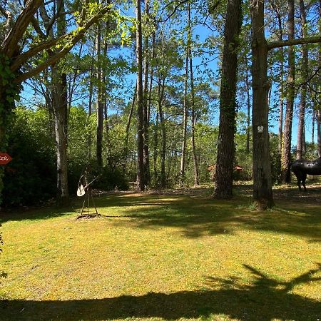 Le Petit Poulailler Au Beau Milieu Des Pins Villa Lacanau Dış mekan fotoğraf
