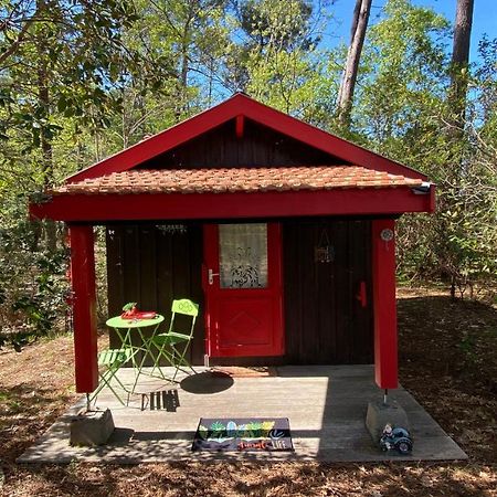 Le Petit Poulailler Au Beau Milieu Des Pins Villa Lacanau Dış mekan fotoğraf