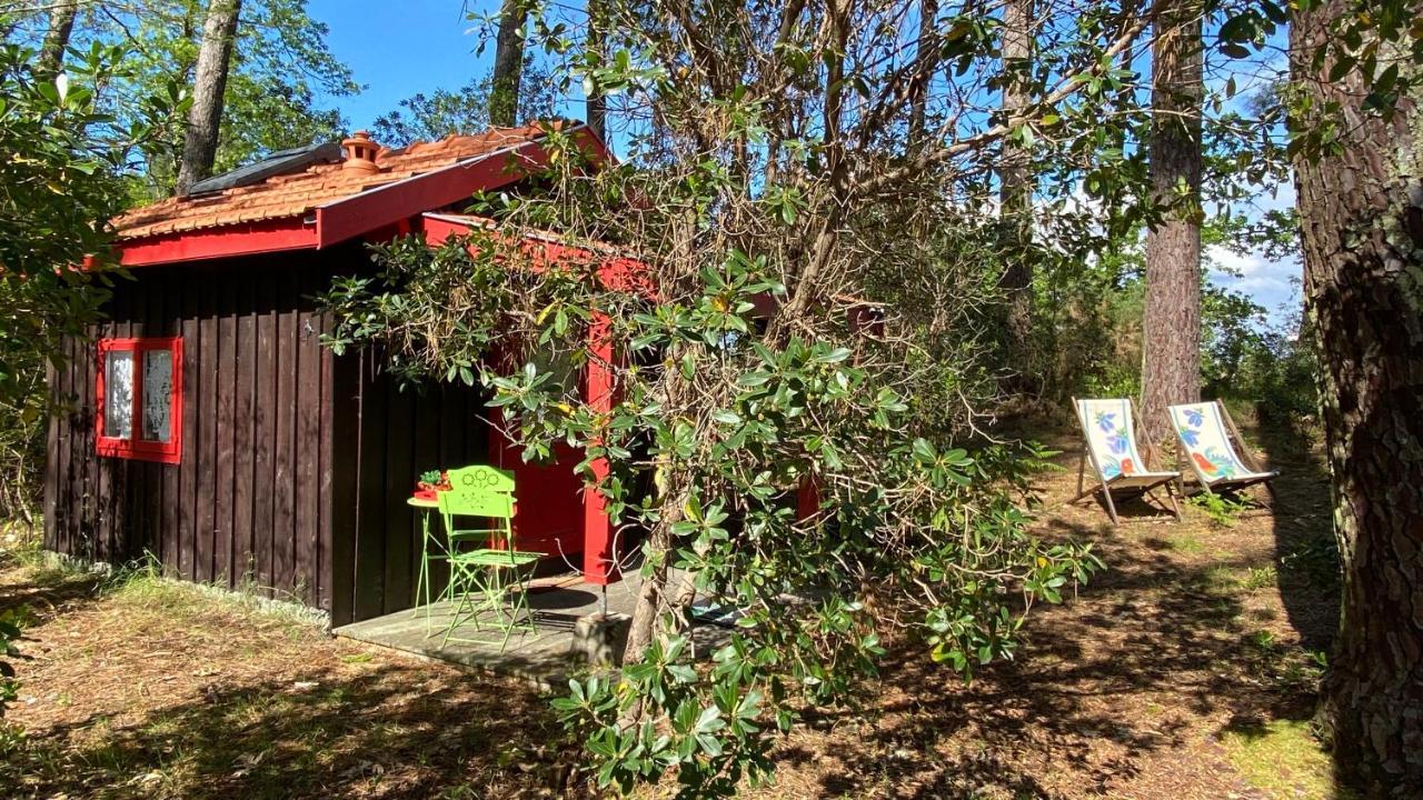 Le Petit Poulailler Au Beau Milieu Des Pins Villa Lacanau Dış mekan fotoğraf