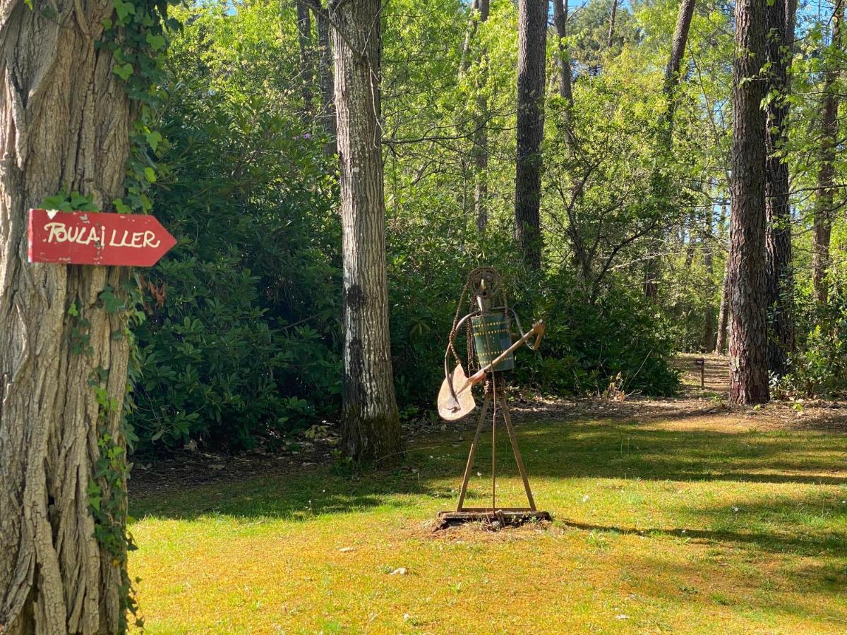 Le Petit Poulailler Au Beau Milieu Des Pins Villa Lacanau Dış mekan fotoğraf