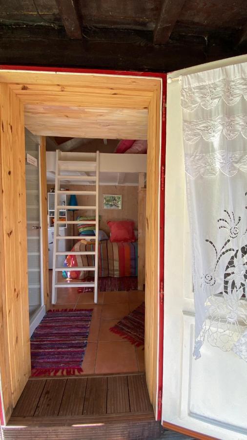 Le Petit Poulailler Au Beau Milieu Des Pins Villa Lacanau Dış mekan fotoğraf