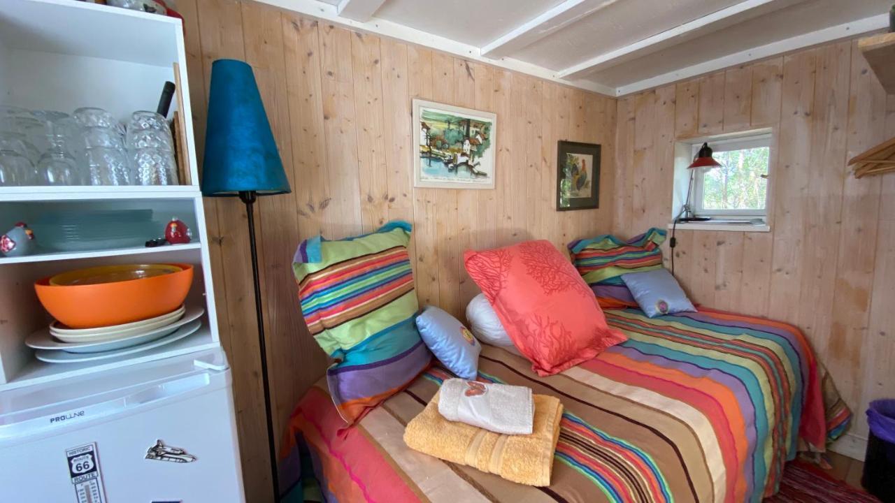 Le Petit Poulailler Au Beau Milieu Des Pins Villa Lacanau Dış mekan fotoğraf