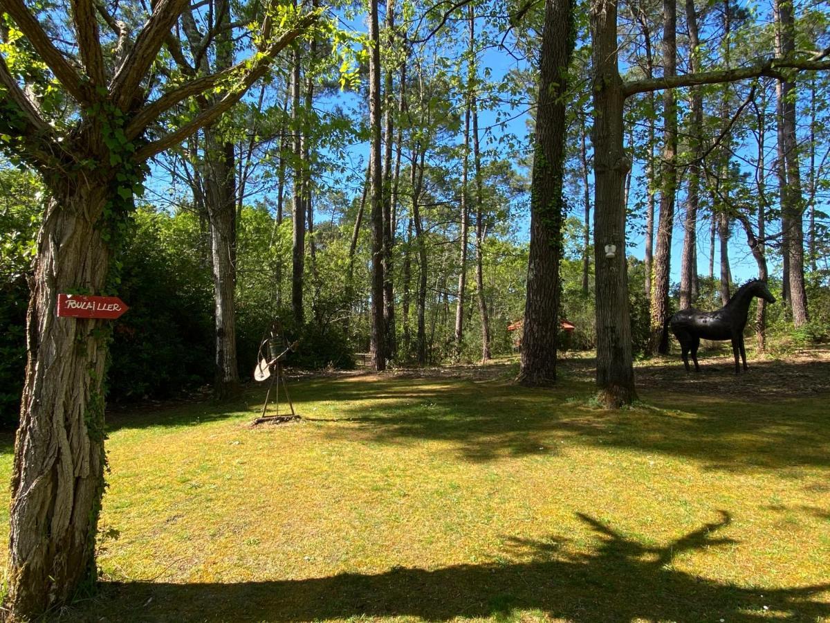 Le Petit Poulailler Au Beau Milieu Des Pins Villa Lacanau Dış mekan fotoğraf
