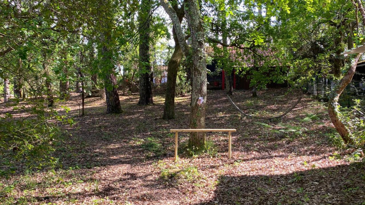 Le Petit Poulailler Au Beau Milieu Des Pins Villa Lacanau Dış mekan fotoğraf