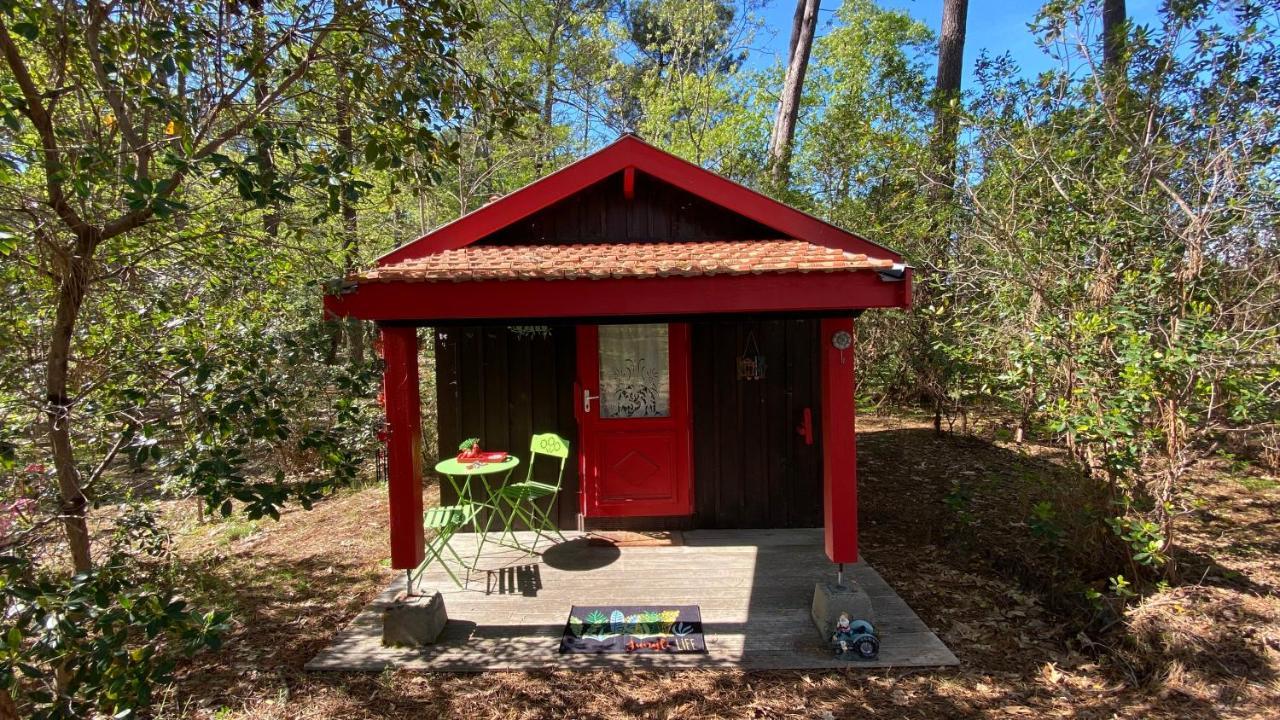 Le Petit Poulailler Au Beau Milieu Des Pins Villa Lacanau Dış mekan fotoğraf