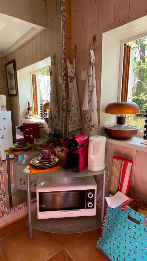 Le Petit Poulailler Au Beau Milieu Des Pins Villa Lacanau Dış mekan fotoğraf