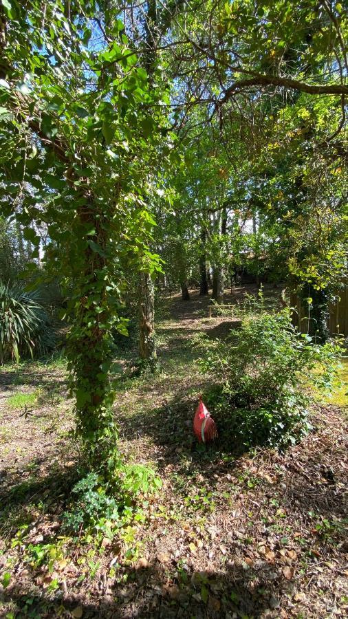 Le Petit Poulailler Au Beau Milieu Des Pins Villa Lacanau Dış mekan fotoğraf