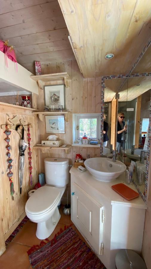 Le Petit Poulailler Au Beau Milieu Des Pins Villa Lacanau Dış mekan fotoğraf