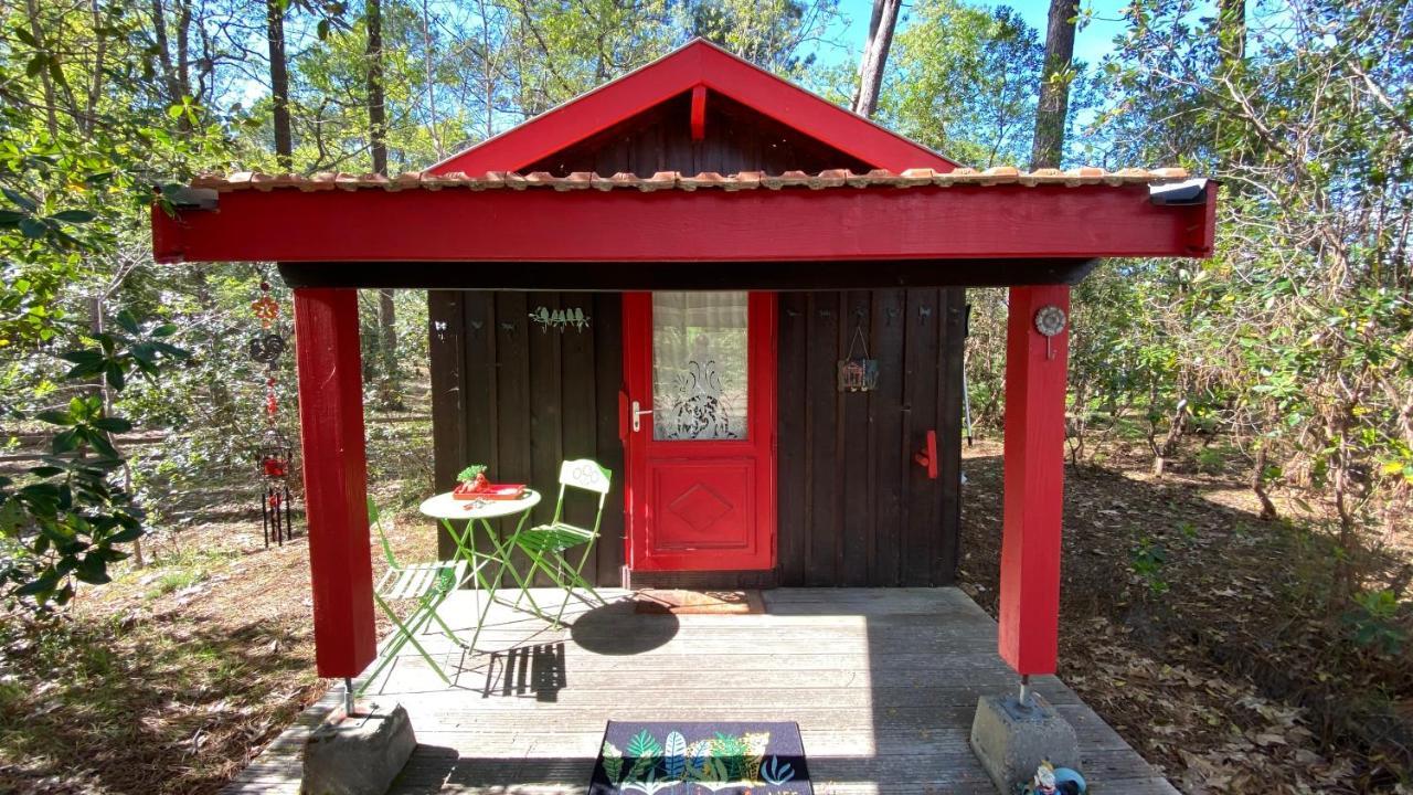 Le Petit Poulailler Au Beau Milieu Des Pins Villa Lacanau Dış mekan fotoğraf