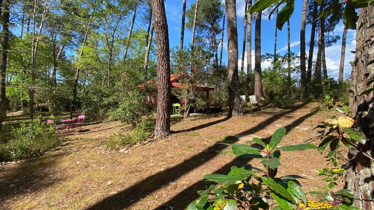 Le Petit Poulailler Au Beau Milieu Des Pins Villa Lacanau Dış mekan fotoğraf