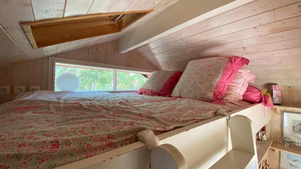 Le Petit Poulailler Au Beau Milieu Des Pins Villa Lacanau Dış mekan fotoğraf