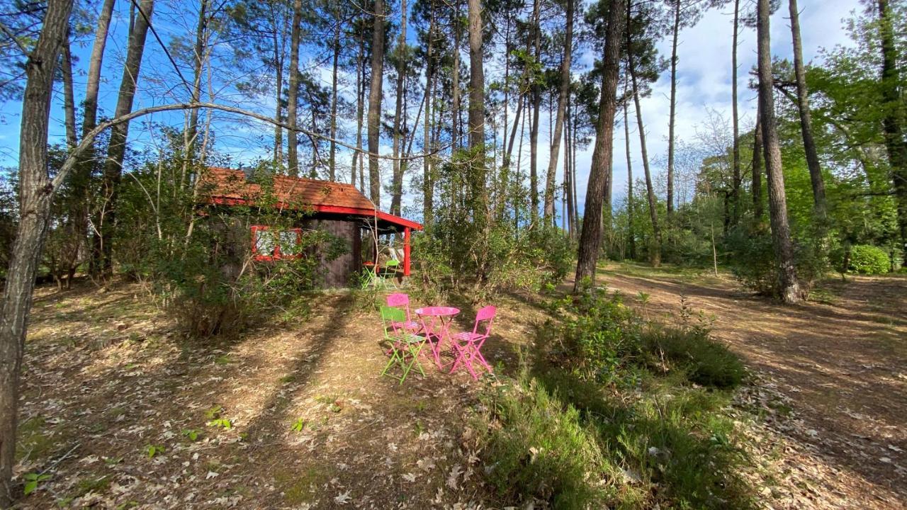 Le Petit Poulailler Au Beau Milieu Des Pins Villa Lacanau Dış mekan fotoğraf
