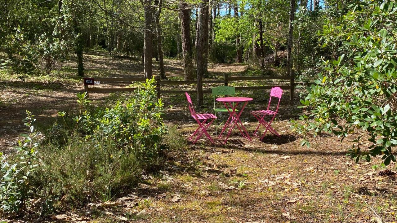 Le Petit Poulailler Au Beau Milieu Des Pins Villa Lacanau Dış mekan fotoğraf